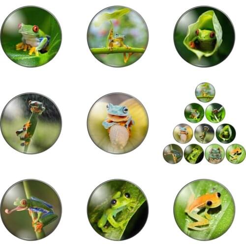 New Cute Flog Nature Animals Round Photo Glass Cabochon Demo Flat Back Making Findings Handmade DIY Accessories