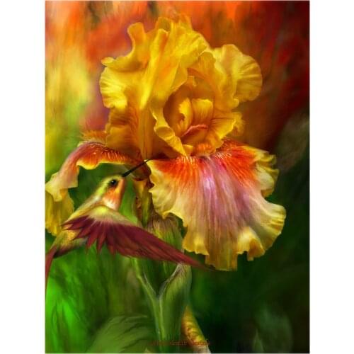 Embroidery Counted Cross Stitch Kits Needlework - Crafts 14 ct DMC Color DIY Arts Handmade Home Decor - Fire Goddess