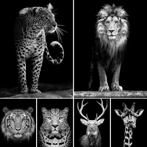 5D Diamond Painting Black White Animal Lion Tiger Full Drill Square Embroidery Mosaic Art Picture Of Rhinestones Home Decor Gift