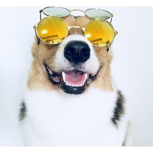 Medium Large Dog Glasses Fashion Eye-wear Pet Sunglasses For Cats Christmas Photos Props Pet Grooming Dog Accessories Supplies