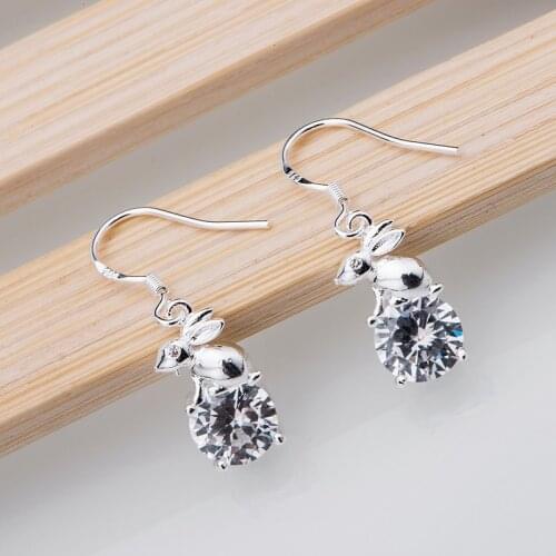 Silver plated earrings 925 jewelry for women silver earrings FNOMBPUI