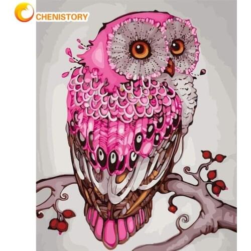 CHENISTORY 60x75cm Frameless Painting By Numbers Pink Owl Animal Paint Coloring On Canvas By Number Handmade Home Wall Craft