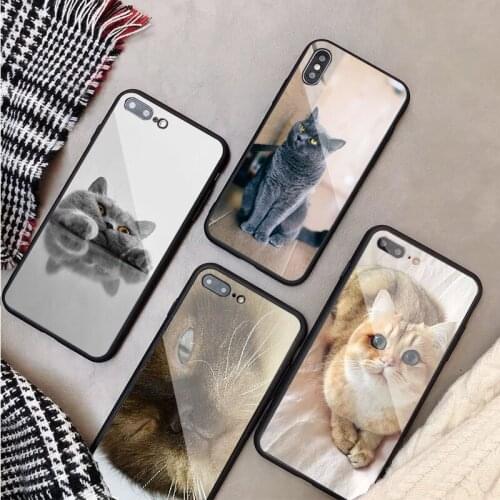 British Shorthair cat Tempered Glass Phone Case For iphone 12 11 Pro Max 5 6 7 8 X XS XR XSMax Shell 12Pro Max Cover Shell