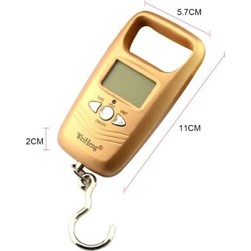 Mini Electronic Portable Scale Fishing Spring Electronic Scale Express Luggage Scale 50 kg