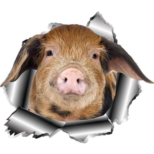 Realistic 3D Visual Personalized Fashion Stickers Used for Car Motorcycle Wall Furniture Waterproof Vinyl KK PVC 13cm X 11.2cm