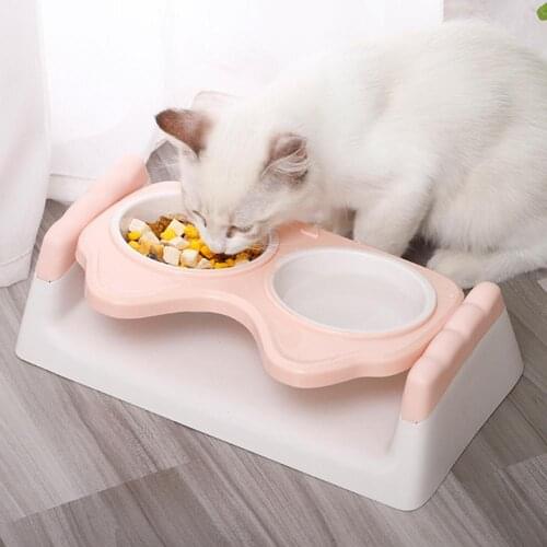 Cat Dog Double Bowls Drinking Feeding Feeder Water Dispenser Food Container