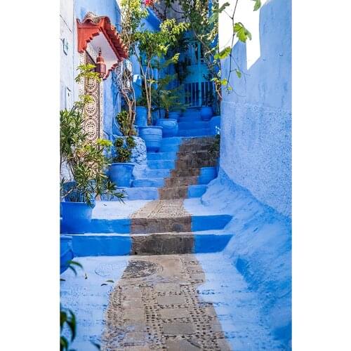 Blue Wall Steps Potted Photo Background Vinyl Cloth Photography Backdrops for Portrait Children Baby Street Photoshoot Props
