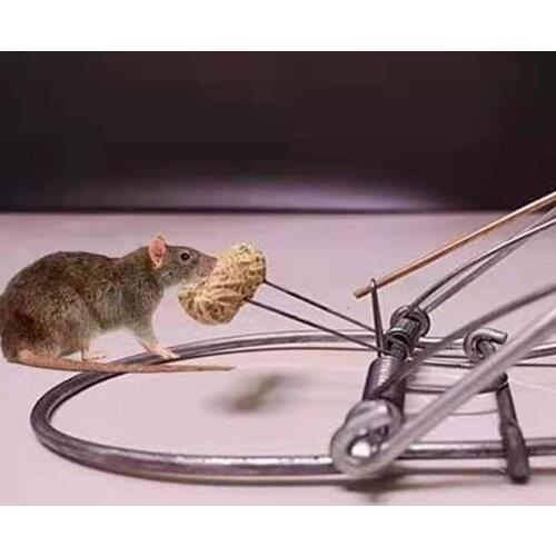 New Sticky Mouse Board Houseroom Catch Mouse Trap Kitchen Mole Repeller Creative Rat Catch Mouse Cage Trap Control Hunting Tool