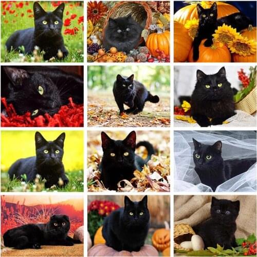 Black Cat 5D DIY Diamond Painting Full Square Round Drill Animal Mosaic Embroidery Cross Stitch Handmade Craft Home Decor