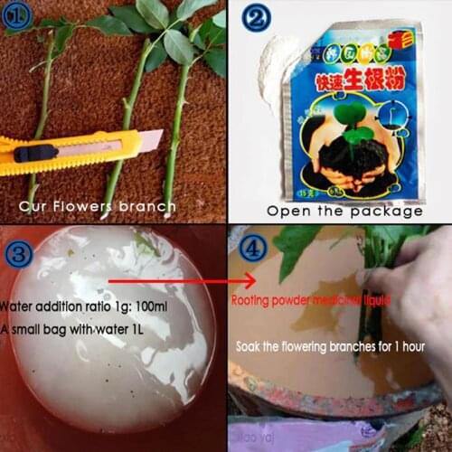 10Bag Bonsai Plant Rapid Growth Root Medicinal Hormone Regulators Aid Fertilizer