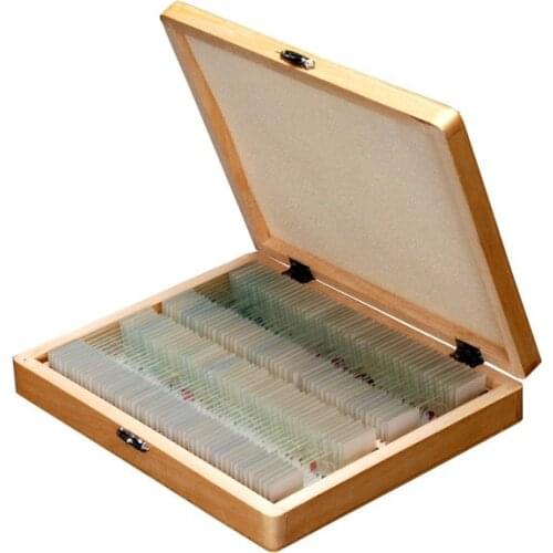 AmScope 100 PC Prepared Biological Microscope Glass Slides - Set A PS100A