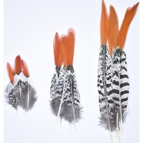 Natural Lady Amherst Pheasant Feathers for Clothes Feathers for Jewelry Making Wedding Feathers Decoration carnaval assesoires