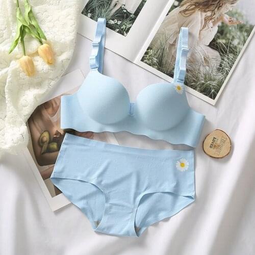Blue Chrysanthem Sensual Sexy Lingerie Set Girl Women Underwear Plus Size Wirefree Bras Panty One-piece Seamless Bra Briefs Set