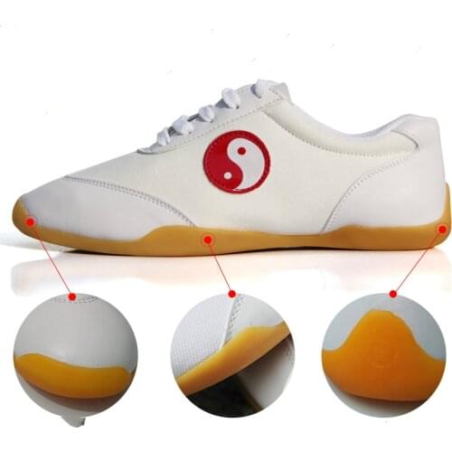 Canvas Breathable Tai Chi Shoes Free Flexible Kung Fu Wushu Shoes Martial Arts Sneaker Sports Training Footwear