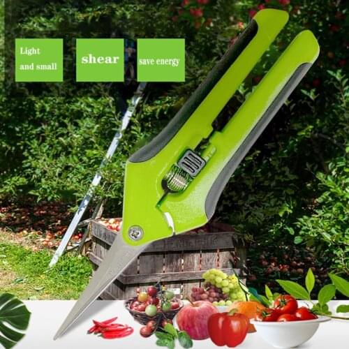 Garden Pruning Shears Stainless Steel Pruning Tools Hand Pruner Cutter Grape Fruit Picking Weed Household Potted Branches Pruner
