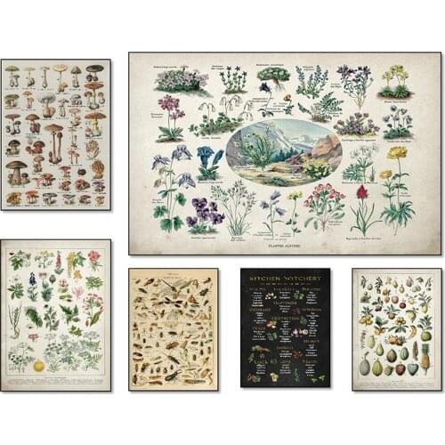 Palaeobios Plant Retro Poster Flower Animal Insect Butterfly Mushrooms Silk Art Oil Painting Faux Painting Home Wall Decoration