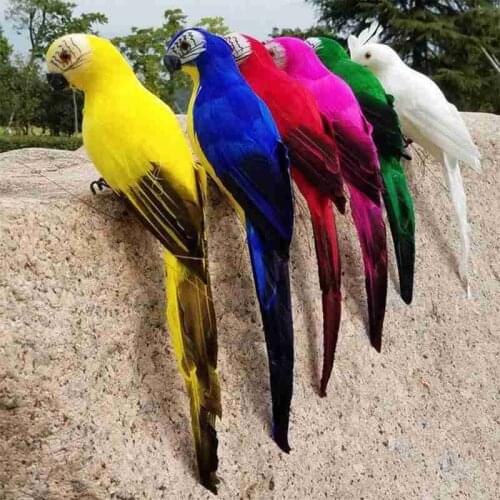 25cm Lifelike Parrot Simulation Toys Soft Cute Wild Birthday Doll Kids Color Children Animals 6 Bird Gifts toys