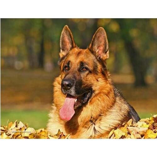 5d diy diamond painting Shepherd dog,diamond Embroidery,3d diamond mosaic,diamond painting cross stitch house,home decoration