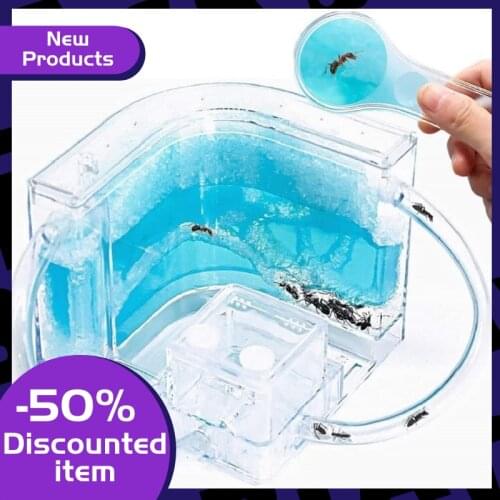 2021 Acrylic Ant Farm Ant House Castle Colorful Insect Terrarium Ant Cage Insect Box Ecological Kid Educational Model Toy