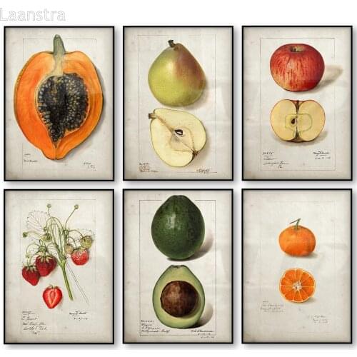 Fruit Kitchen Poster Vintage Poster Antique Canvas Print Pear Apple Orange Pineapple Wall Art Decorative Picture Canvas Painting