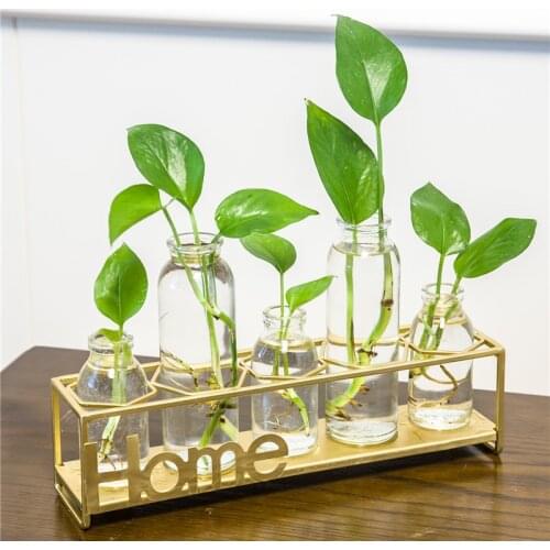 Metal Holder with Glass Vase Water Culture Plant Living Room Flower Arrangement INS Home Creative Decoration Glass Plant Vase