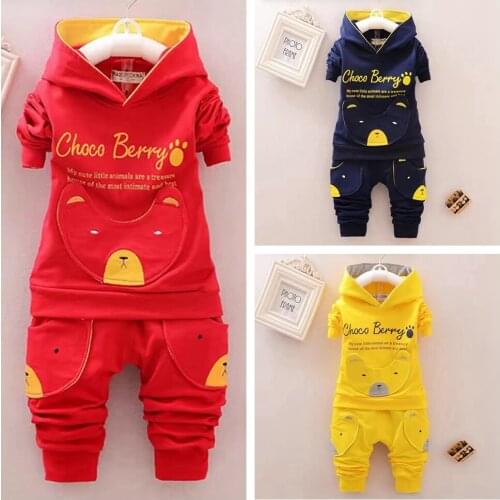 2PCS Girls Clothing Set Spring Coat Baby Boy Hooded Newborn Sweatshirt And Pants Set Children Outwear Sportwear Kids Tracksuit