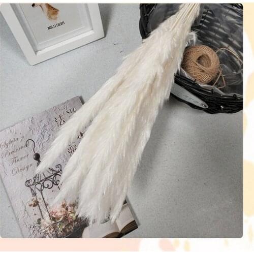 30Pcs/Lot White Pampas Grass Artificial Natural Dried Flower Bouquet Decor Black Real Plants Trawa Pampasowa Home Decoration
