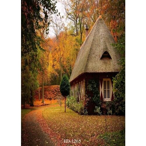 Late autumn forest house golden maple photo background photography background