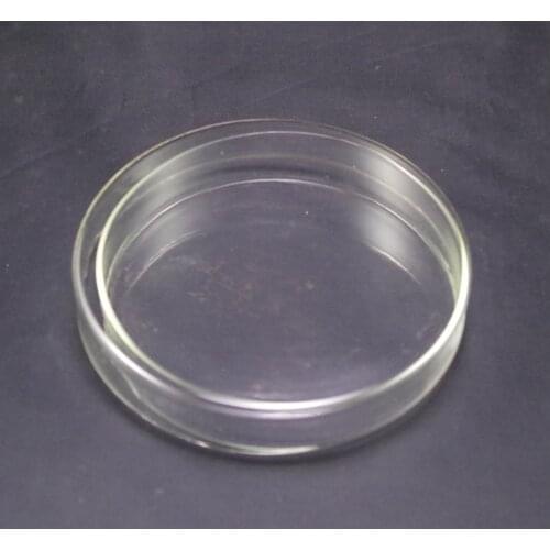 Petri dishes with lids clear glass 100mm LOT2