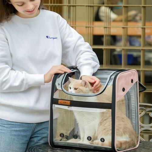 FANDALYL Products For Dogs