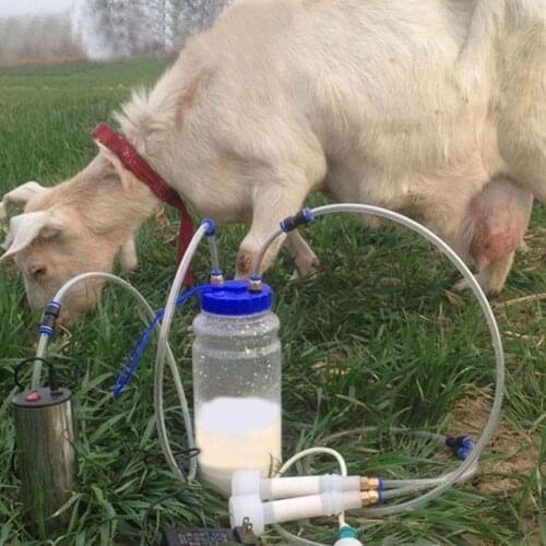 Portable Electric Sheep Breast Pump Stainless Steel + Silicone + Plastic Small Milking Machine 2L For Households Milking Storing