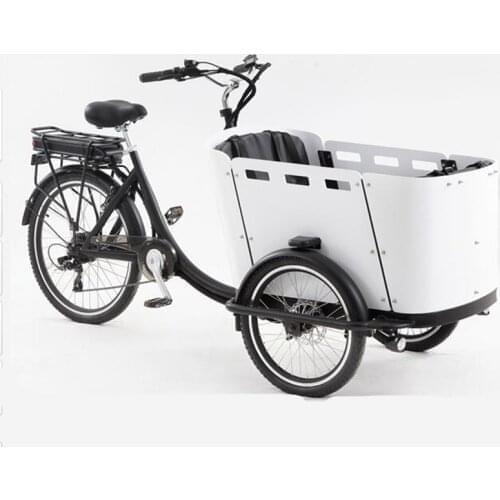 Three Wheels Electric Cargo Bike Family Adult Tricycle for Transport and Shopping The Most Advanced Cargo Bike Ever Built
