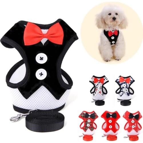 Mesh Small Dog Harness Nylon Breathable Puppy Dog Harness Vest Pet Walking Harnesses Vest and Leash Set For Chihuahua Small Dogs