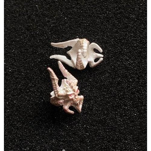 In Stock 1/6 TBLeague PL2020-171 Court of Death Cole Valkyrie Female Skeleton Skull Hand Bracer Model For 12inch Rubberized Body