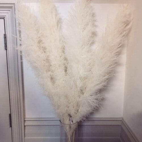140CM 10Pcs/lot Natural Large Pampas Grass Decor Real Artificial Dried Flowers Bouquet Wedding Supplies Christmas Decorations