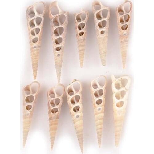 4pcs Natural Trilateral Conch Seashells For Making Jewelry DIY Craft Hollow Shells Handmade Pendant Home Beach Decor TR0369