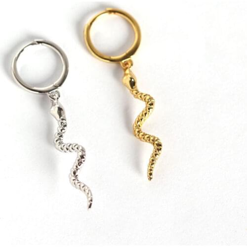 Real 925 Silver Earrings For Women Gold Snake Earrings Gothic Girl Gift Small Earrings Punk Female Long Smake aretes R5