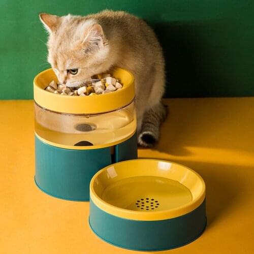 Double Dog Cat Bowls - 2 in 1 Automatic Pet Feeder Detachable Gravity Water Dispenser Food Bowl for Cats/Puppies Upgrade Design