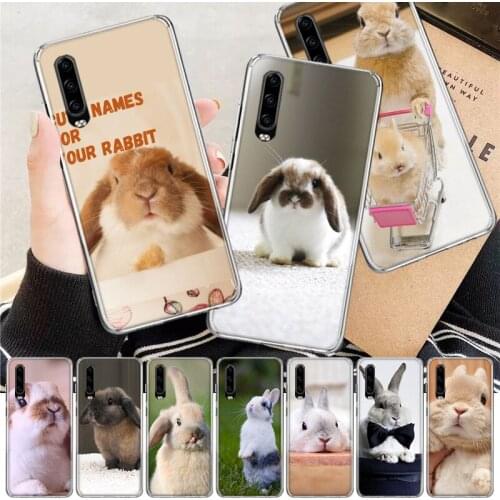 Cute Animal White Rabbit Lovely Soft Cover Phone Case For Huawei P30 P20 P10 P40 Mate 30 20 10 Pro Lite P Smart Z Plus + Customi