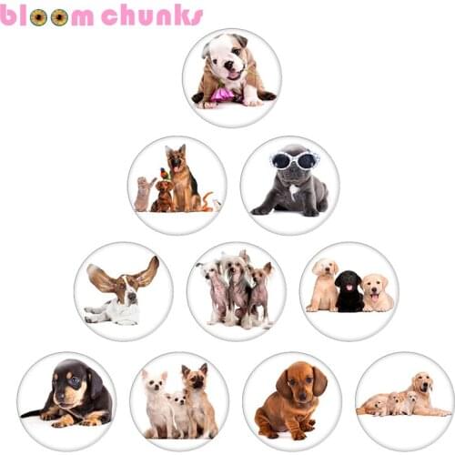 Dog 10pcs mixed 12mm/18mm/20mm/25mm Round photo glass cabochon demo flat back Making findings S1670
