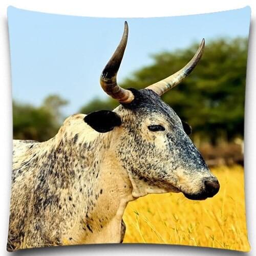 Ox Rabbit Duck Cotton polyester Square Printed Pillow cases Zipper Cushion Cover Home Use 16" 18" 20" etc 9 style