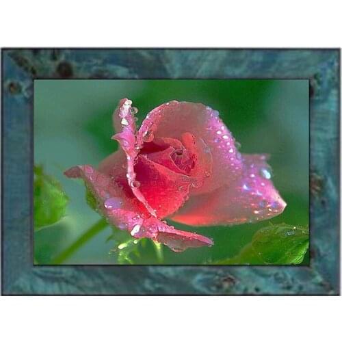 Diamond Embroidery Diy Diamond Painting Cross Stitch Kits Diamond Mosaic Red roses Full Square Diamond Embroider BS023