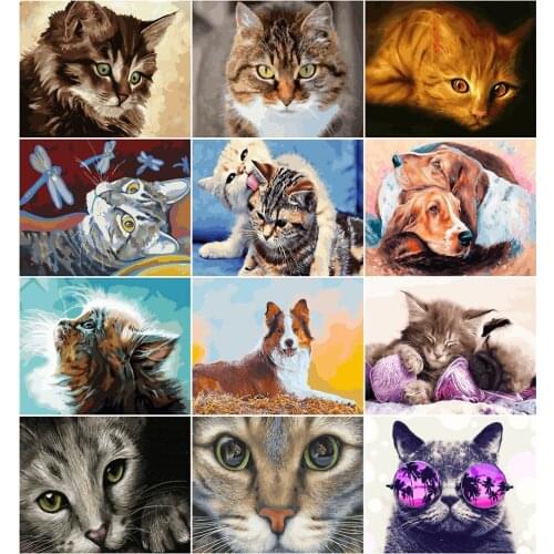 AZQSD Painting By Number Canvas Kits Animal Home Decoration Home Decoration 40x50cm Pictures By Numbers Cat Handpainted Gift