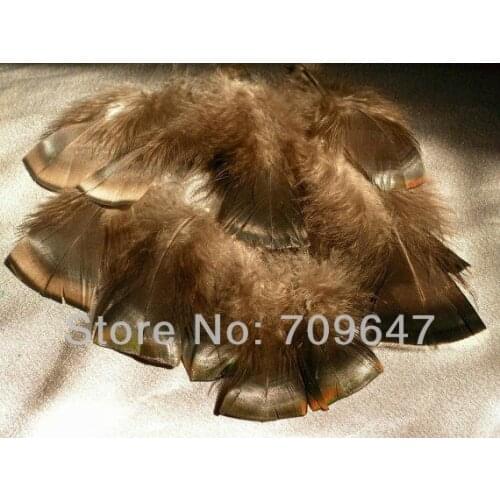 Plumes ! 100Pcs/Lot 7-10CM WILD TURKEY BRONZE/COPPER T FLAT FEATHERS loose feathers,plume decoration