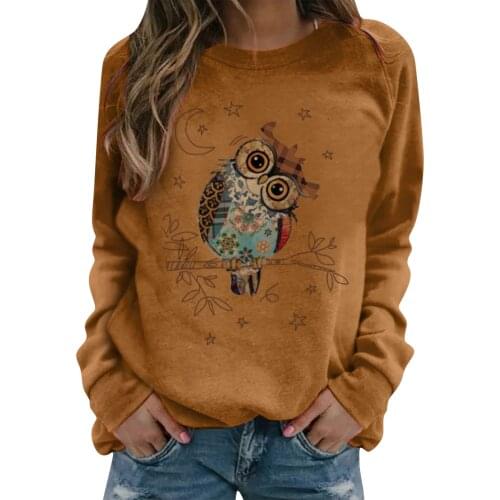 Oversized Streetwear Casual 2021 Autumn Winter Womens Cute Owl Print Long-sleeved Sweatshirt Casual Blouse Pullover Female