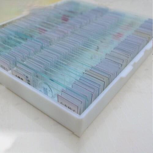 Biological Microscopic Specimen Section Set Animal and Plant Tissue Cells 10/25/50/100 Pieces