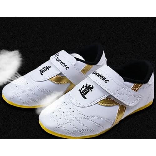 Low Cut Kung Fu Taekwondo Shoes Tai Chi Shoe Sneakers Martial Arts Sneaker Boxing Karate Breathable Fitness Sports Wu Shu Shoes