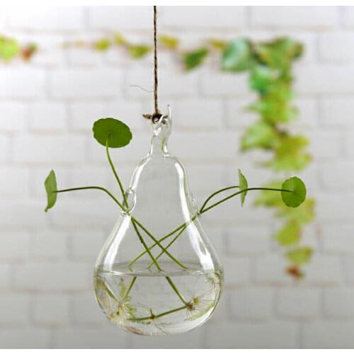 Vase Ball Home Decor Glass Flower Plant Stand Hanging Terrarium Container European Micro-view Glass Vase