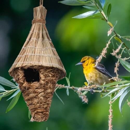 Woven Hanging Nest Cone Shape Handmade Natural Woven Pet Bird Sleeping House for Outdoor Grass Braided Hummingbird House Garden