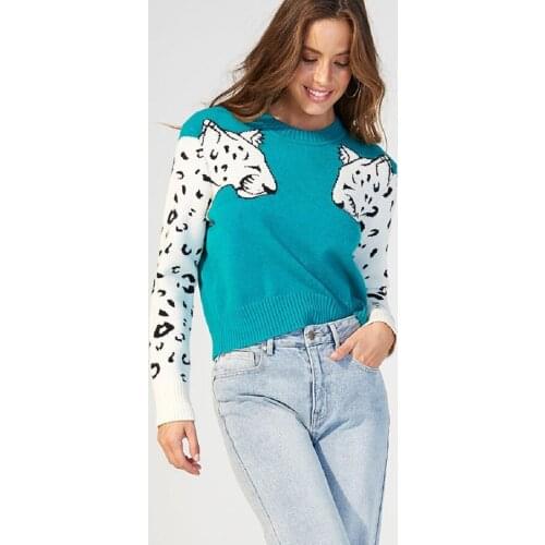 Womens Autumn Sweater Female Arm Leopard Pattern Creative Design Knitted Long Sleeve Pullover for Ladies and Girls